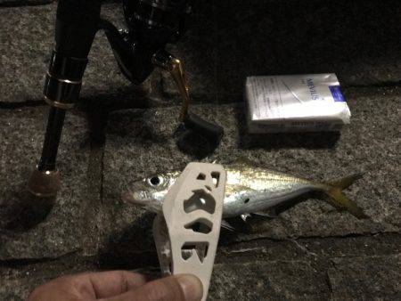 アジング成功！