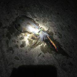 もう薄着では寒いですm(_ _)m