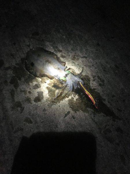 もう薄着では寒いですm(_ _)m