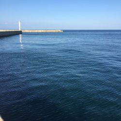 洲本港ショアジギ