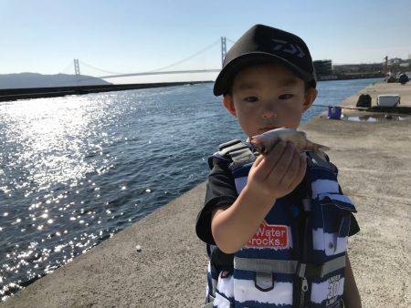 3歳アングラー颯太