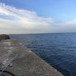 サビキ釣りの予定が…