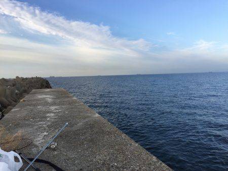 サビキ釣りの予定が…