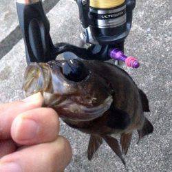 続アジングレクチャー