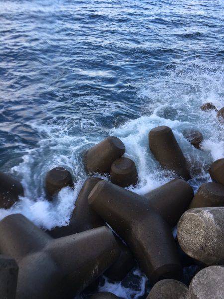 アオリの成長悪いな！