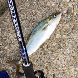 試合に勝って勝負に負け的な…サゴハマチ