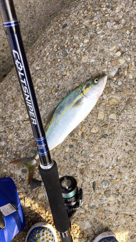 試合に勝って勝負に負け的な…サゴハマチ