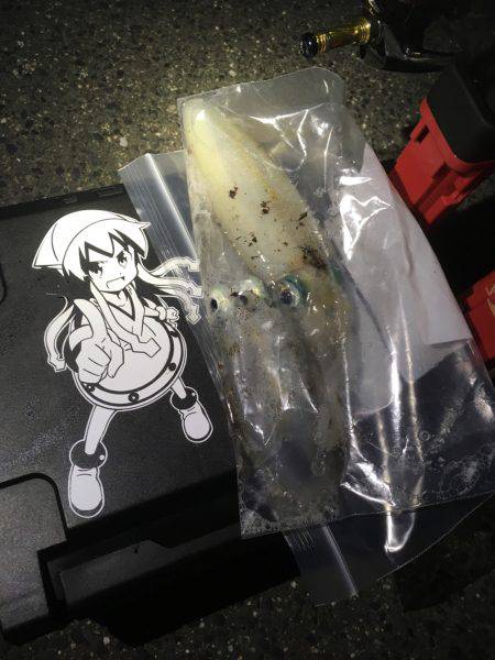 釣れたら帰ろう。