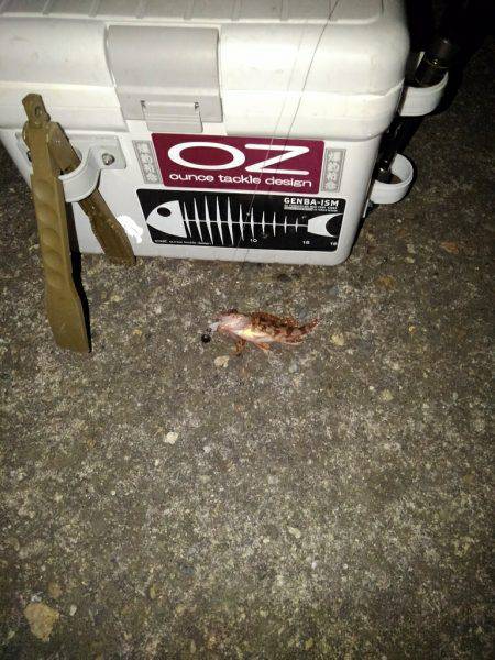 ガシリンクにはまってます!!