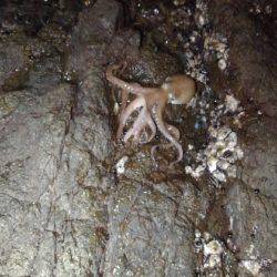 根掛かりと思いました笑