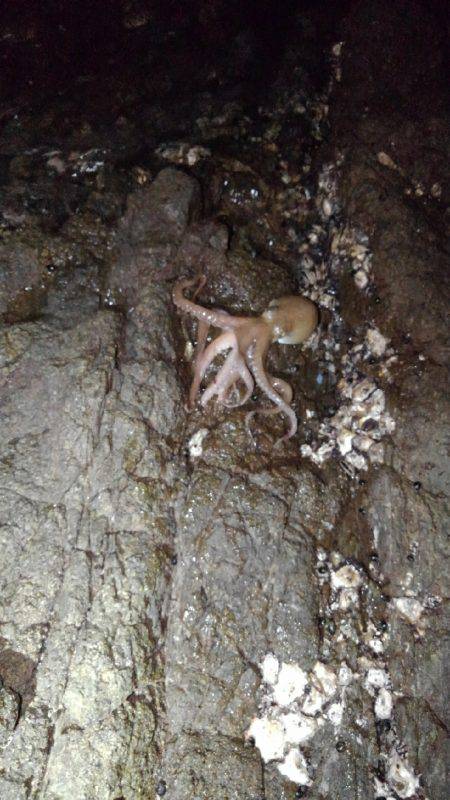 根掛かりと思いました笑