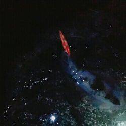 こけて死にかけエギング