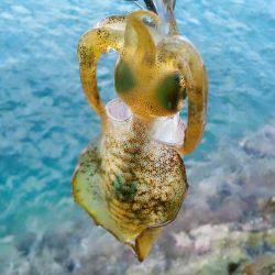 お留守ですか！？