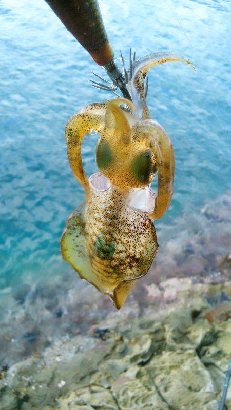 お留守ですか！？