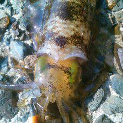 渋ッいなかなんとかツ抜け～！