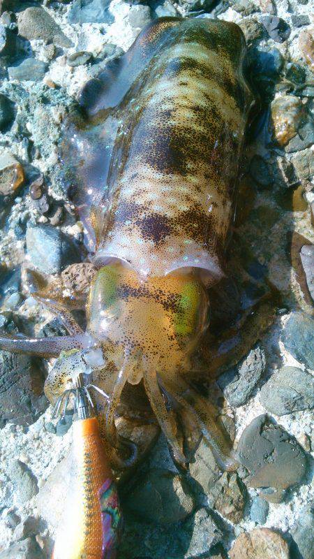 渋ッいなかなんとかツ抜け～！