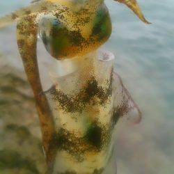 貸し借り(嵐)～♪