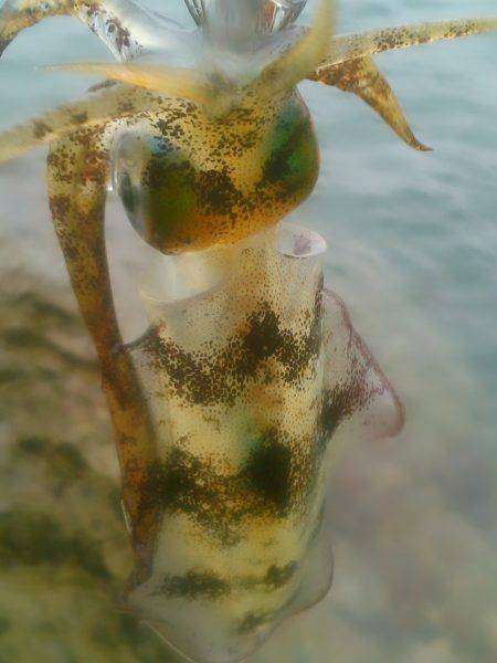 貸し借り(嵐)～♪