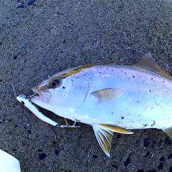 久しぶりのちょい遠征