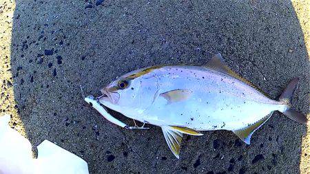 久しぶりのちょい遠征