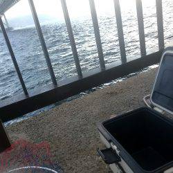 なんでなんやー！