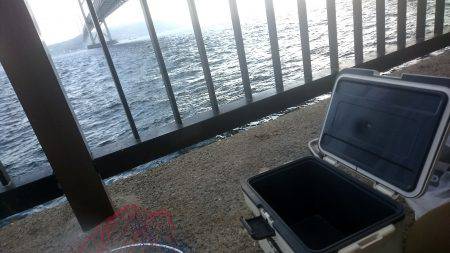 なんでなんやー！