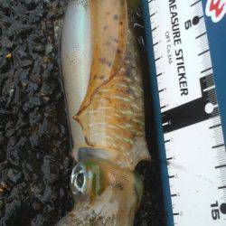 雨　雨　あがれ！