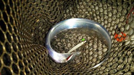 太刀魚シーズン始まり