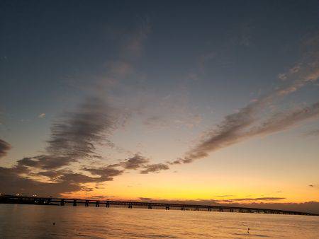 仕事帰りにワインド