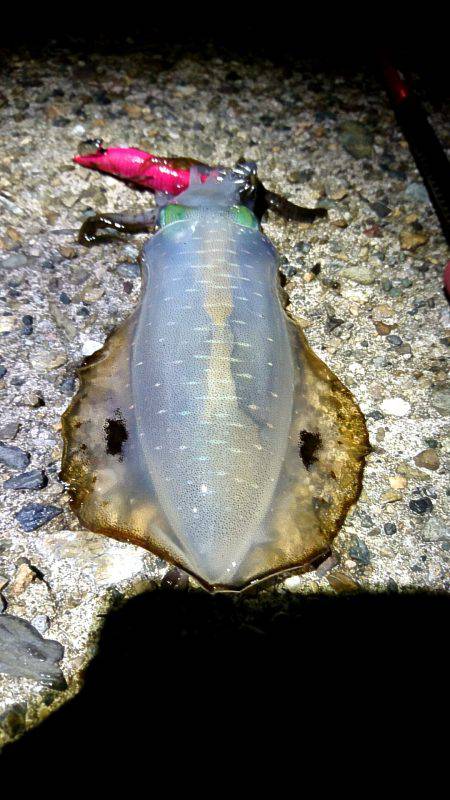 雨上がりの貸し切りの海