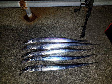 仕事帰りにワインド太刀