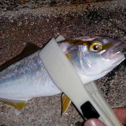 台風前に釣れるかな
