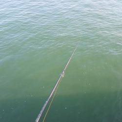 台風後エギング