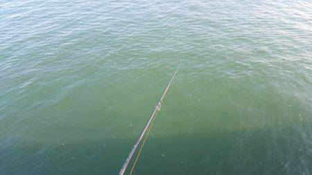 台風後エギング