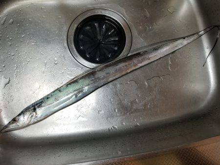 仕事帰りにワインド太刀