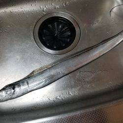 仕事帰りにワインド