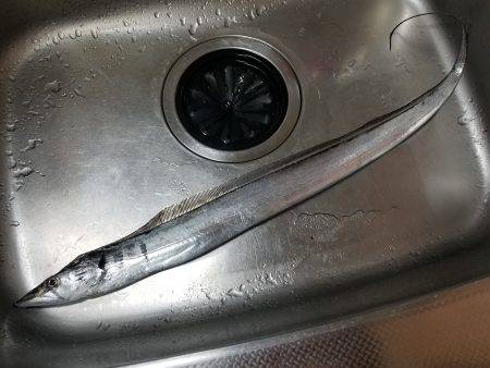 仕事帰りにワインド