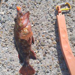 狙いはまずまず