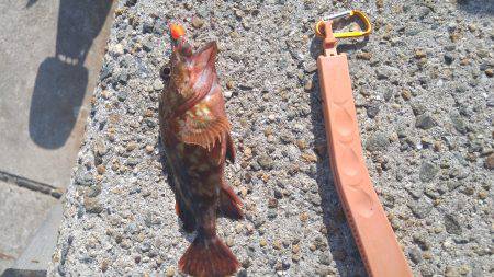 狙いはまずまず