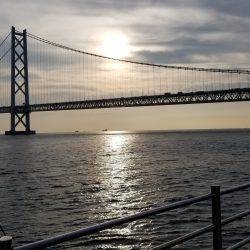 初フィールドエギング