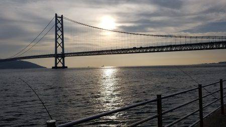 初フィールドエギング