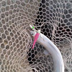 サクッと太刀魚