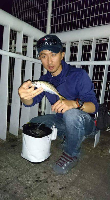 マナティー28でアジポンポン