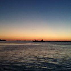 アジング エギング ライトジギング