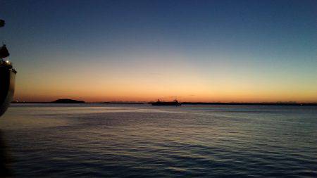 アジング エギング ライトジギング