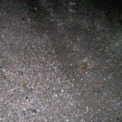 ワームでアマギ（クロサギ）