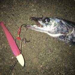 ケイムラピンクファントムは魚種限定解除!?