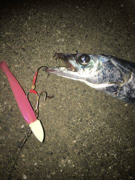 ケイムラピンクファントムは魚種限定解除!?