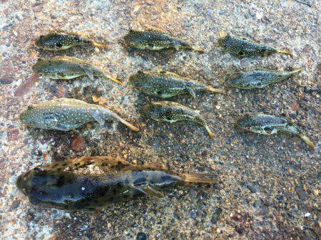 三重南部釣（調）査 2回目