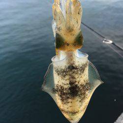 鳴門は人がいっぱい´д` ;